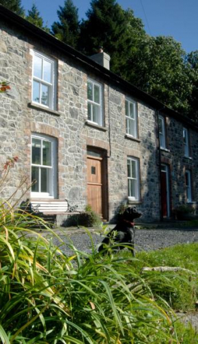  Bronfelin & Troed-y-Rhiw Holiday Cottage  Лануртид Уэллс